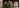Luxury pret september 2026 | Zara Shahjahan Intl.
