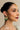 Karnika Earnings