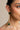 Jhaalar Earnings