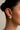 Naurattan Earnings