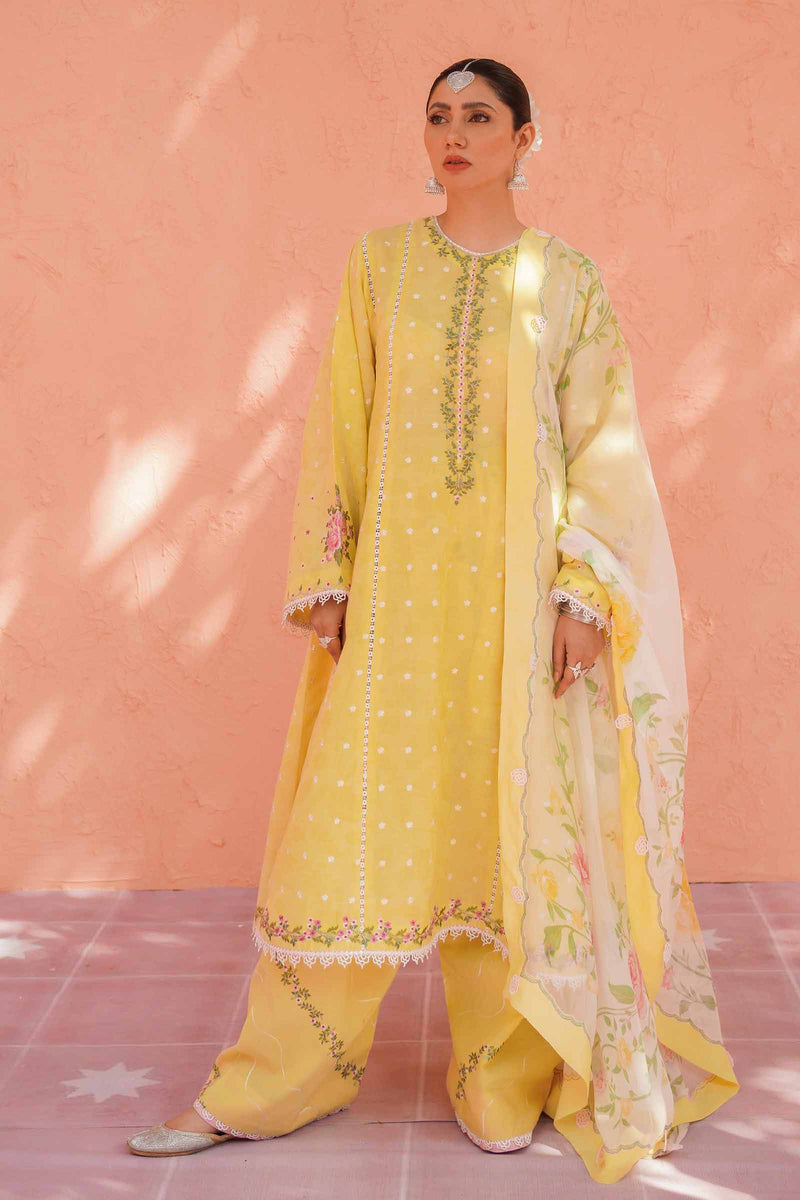 Zara Shahjahan | Anarkali 25 | Amaltas-D3